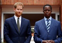 Prince Harry to facilitate elephant move from Botswana to Zambia