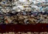 Malaysia to ship back hundreds of tonnes of plastic waste