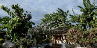 Fierce storm kills seven in Greek tourist peninsula