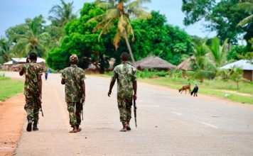 Jihadist attack in Mozambique kills seven
