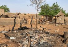 23 killed in attack on Fulani village in Mali - mayor