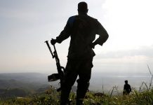 DRC army kills Rwandan Hutu militia commander