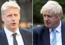 PM's brother Jo Johnson quits over Brexit