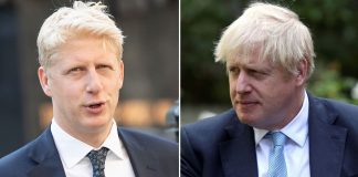 PM's brother Jo Johnson quits over Brexit