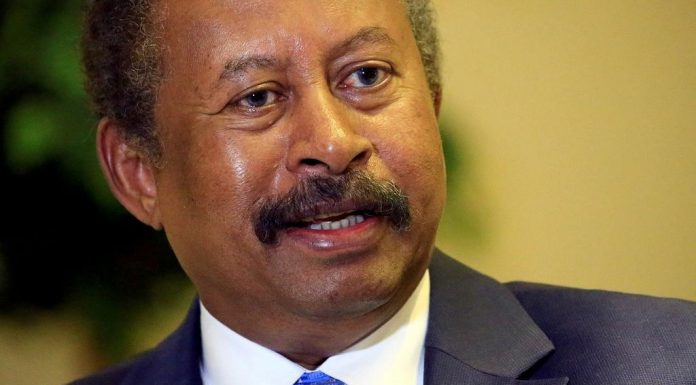 Sudan names commission to probe killings