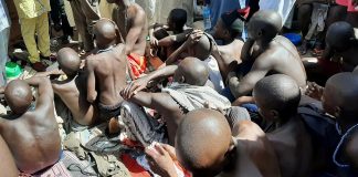 Nigerian police release 259 people held captive in Ibadan