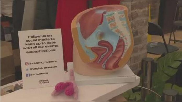 Skynewsafrica World's first vagina museum opens in London