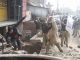 Skynewsafrica Fresh clashes over India law, death toll hits 10