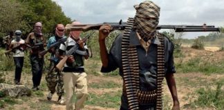 Boko Haram kidnaps another 15 girls in Niger