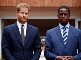 Prince Harry to facilitate elephant move from Botswana to Zambia