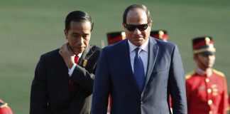 Egypt hopes to receive 5th tranche of IMF loan in Jan. 2019