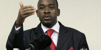 Zimbabwe's Chamisa calls for dialogue as more workers threaten to strike