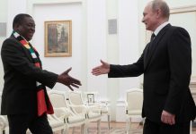 Mnangagwa begs 'senior brother' Putin to help him develop Zimbabwe