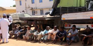 Police arrests 11 criminals in Nigeria's northeast