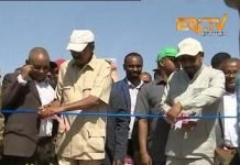 Ethiopia-Eritrea officially open border crossing point