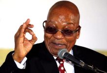 Zuma calls for nationalisation of land in South Africa