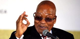 Zuma calls for nationalisation of land in South Africa