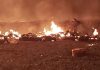 Twenty die and 71 hurt as Mexico oil pipeline explodes