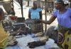 Congo: Fish scarcity drives prices up