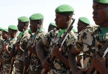 Suspected jihadists kill 10 Malian soldiers