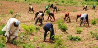 Nigeria’s Military taskforce, Peace Agency lauds NGO for engaging Journalists on farmer/herder