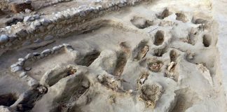 Archeologists find remains of 227 sacrificed children in Peru