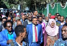 Ethiopian activist floats election challenge against Abiy