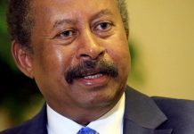 Sudan names commission to probe killings