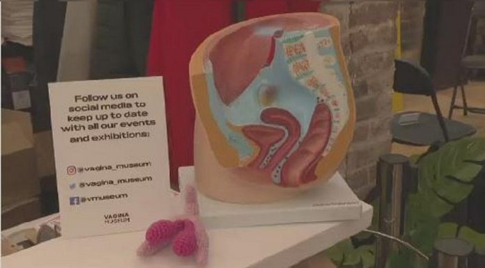 Skynewsafrica World's first vagina museum opens in London