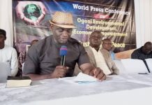 Skynewsafrica Pollution: Begin medical audit of Ogoni people, group charges Nigerian govt