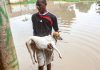 Sky News Africa Angola: heavy torrential rains in Luanda kill 41 people