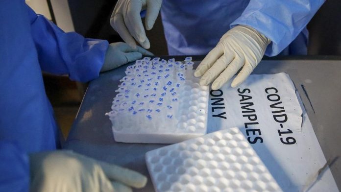 sky news africa Countries with 100+ coronavirus cases: Madagascar joins list
