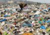 sky news africa Kenya bans single-use plastics in protected areas