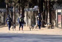 sky news africa Security agents enforce lockdown in Zimbabwe’s capital