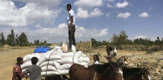 sky news africa https://apnews.com/article/ethiopia-united-nations-kenya-ef0b6b2db2994d4c3042cf19f3d92a2a Click to copy RELATED TOPICS International News AP Top News Africa Ethiopia United Nations Kenya ‘Extreme urgent need’: Starvation haunts Ethiopia’s Tigray