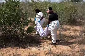 sky news africa